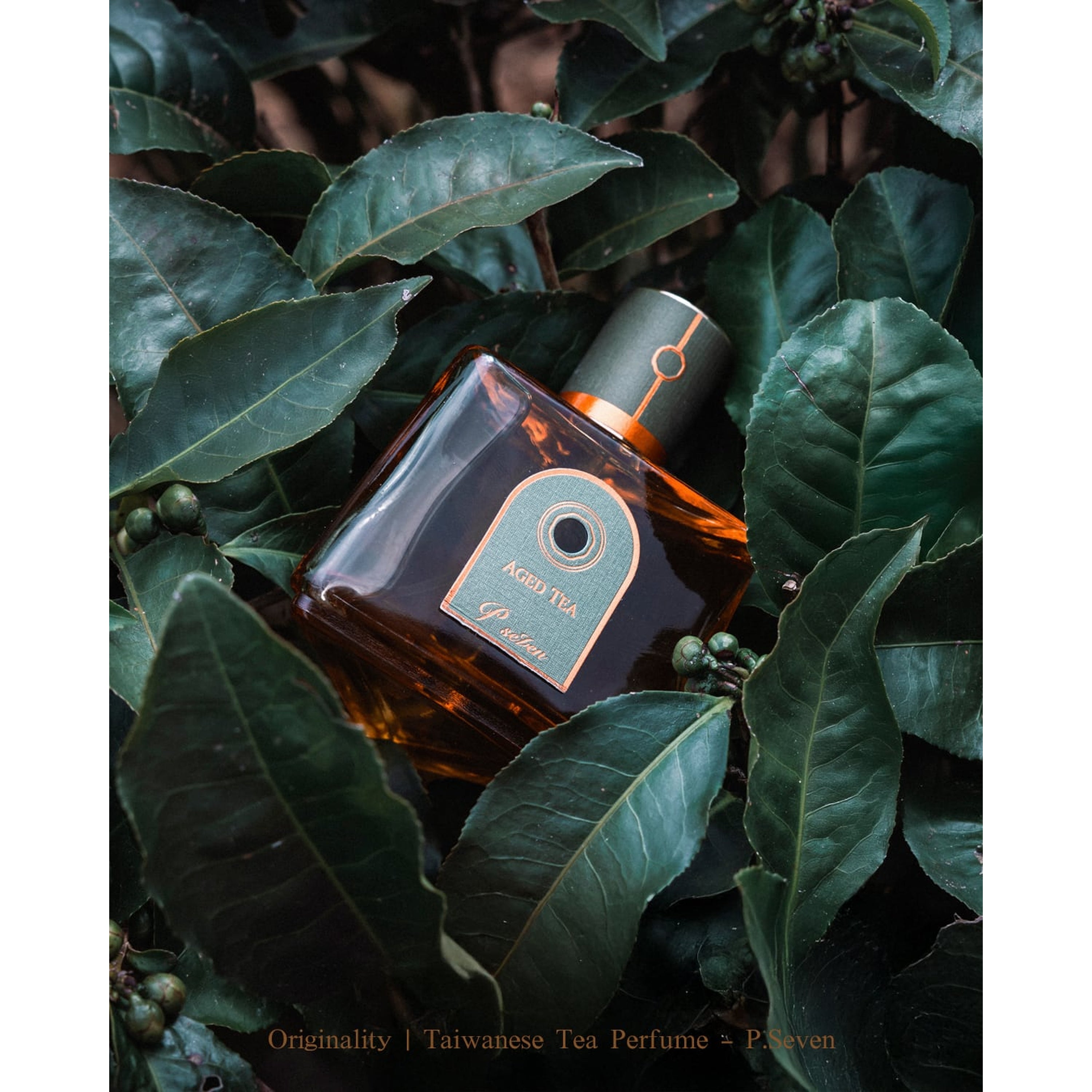 P.Seven 茶香水 – Undiscovered Scents