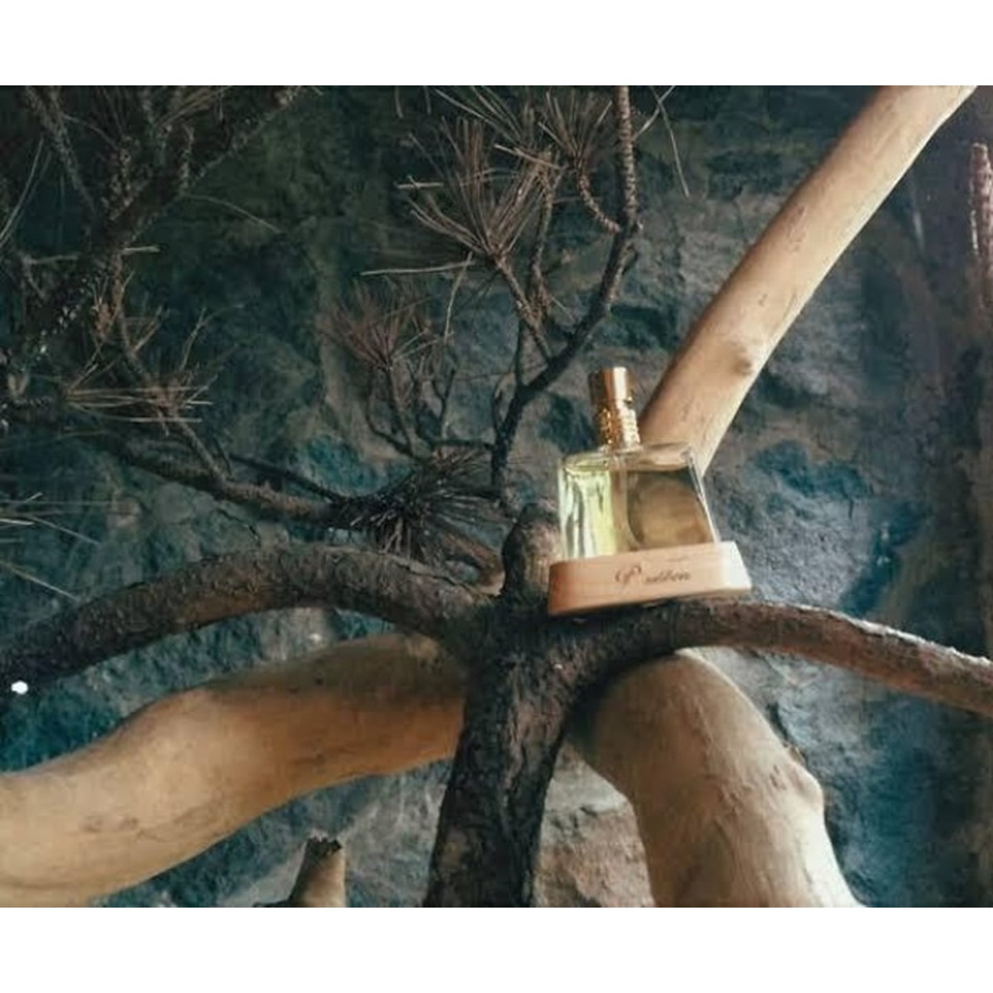 Ｐ．Ｓｅｖｅｎ　台湾茗香水