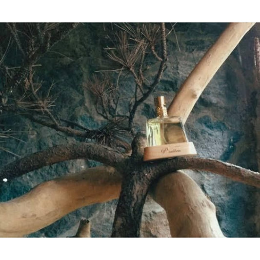 Ｐ．Ｓｅｖｅｎ　台湾茗香水