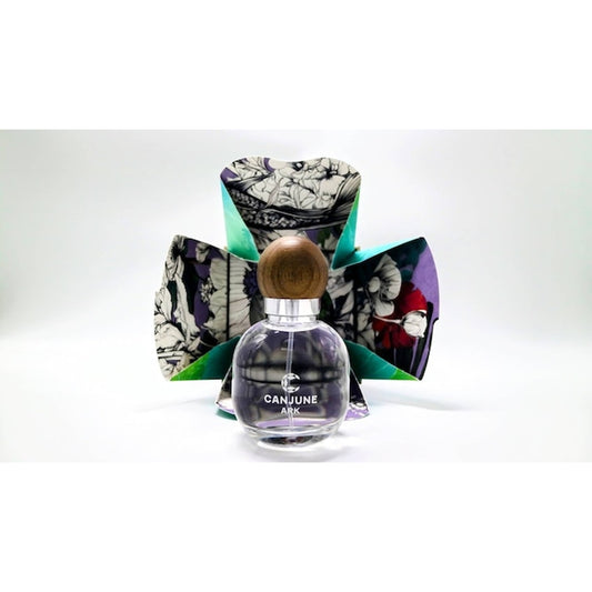 Ｐ．Ｓｅｖｅｎ　ＡＲＫ アーク